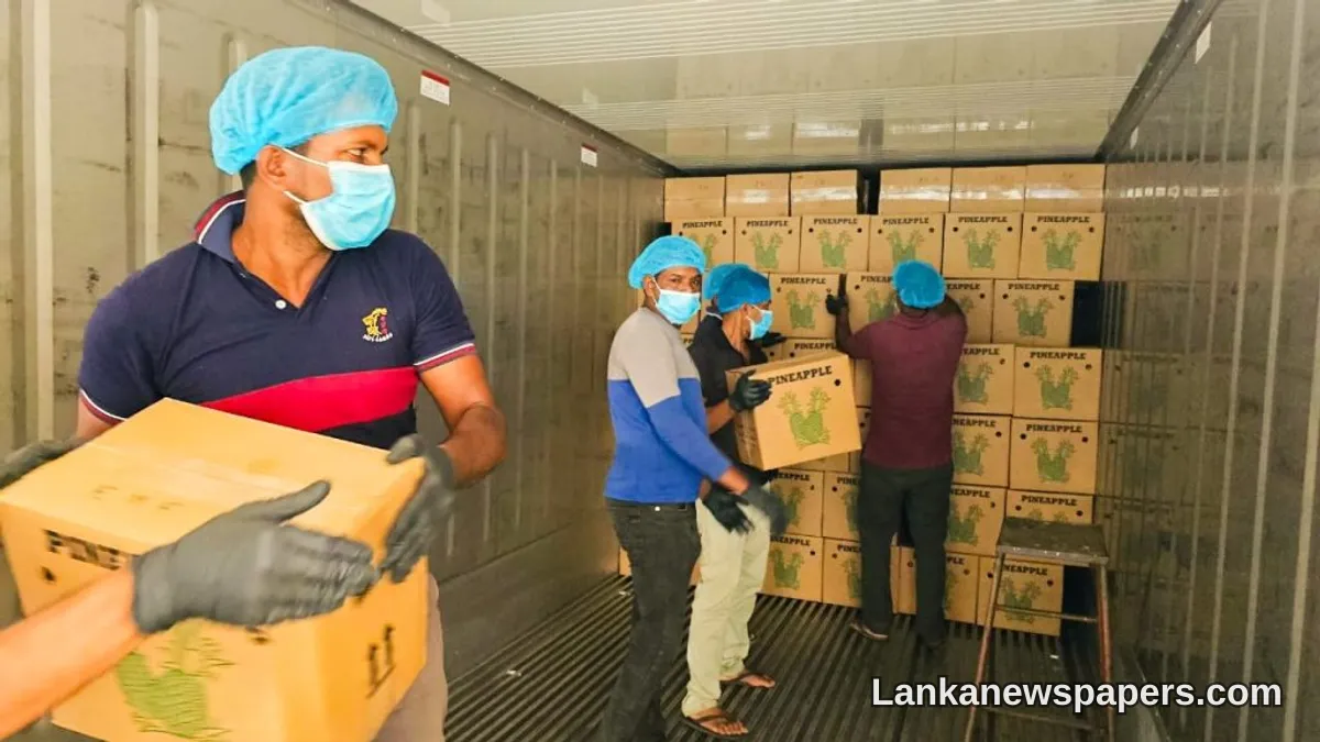 Sri Lanka Breaks New Ground with First-Ever Pineapple Export to Pakistan