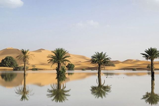 Sahara desert flooded