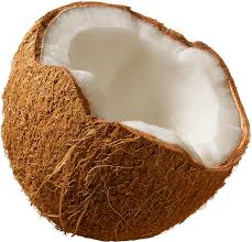 half a coconut price in sri lanka