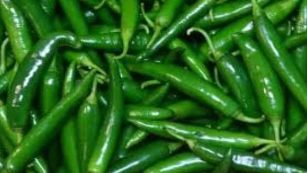 GREEN CHILLIES IN SRI LANKA in sri lankan news