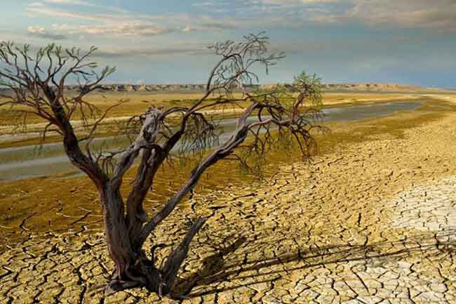 DRY CLIMATE in sri lankan news