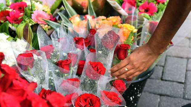 ROSES IN SRI LANKA in sri lankan news